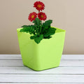 Flower Pots Square Shape – Colourful Plastic Indoor & Outdoor Gardening Planters with Tray – Durable & Drainable
