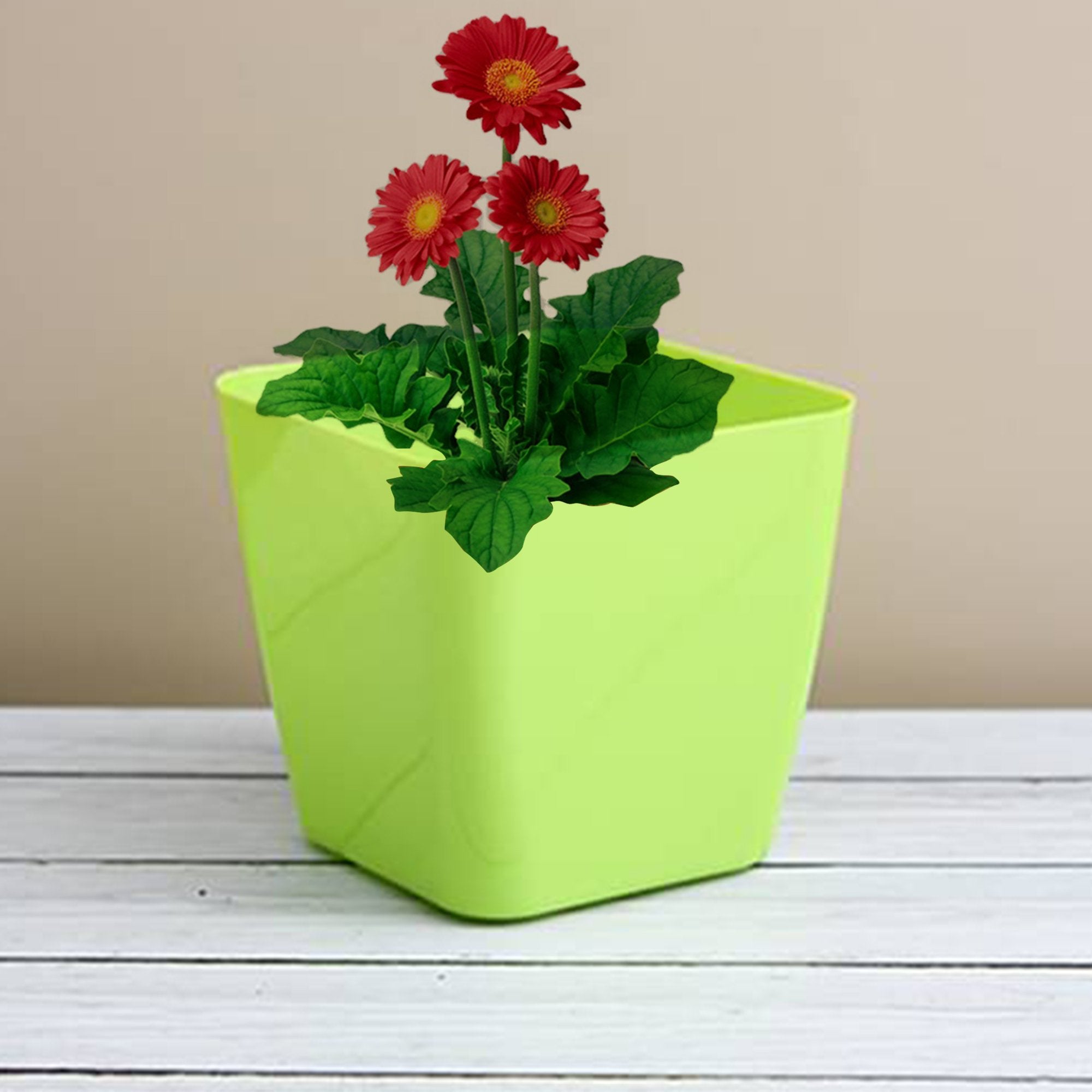 Flower Pots Square Shape – Colourful Plastic Indoor & Outdoor Gardening Planters with Tray – Durable & Drainable