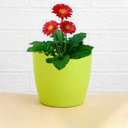 Flower Pots Round Shape – Colourful Plastic Indoor & Outdoor Gardening Planters with Tray – Durable & Drainable