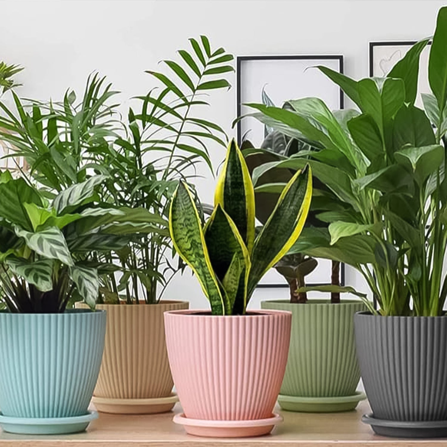 Round Flower Pot with Bottom Tray – 5 Pcs Small Plastic Planters for Indoor & Outdoor Plants, Balcony & Home Gardening (14×16 Cm)