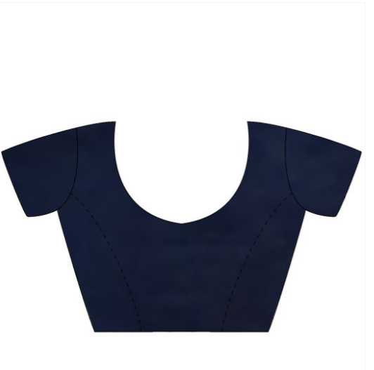 Navy Blue Sequinned Tissue Saree with Embroidered Border