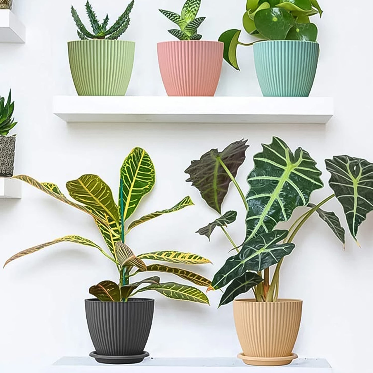 Round Flower Pot with Bottom Tray – 5 Pcs Small Plastic Planters for Indoor & Outdoor Plants, Balcony & Home Gardening (14×16 Cm)