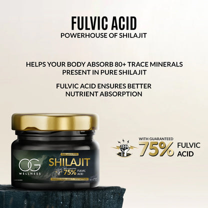 OG Wellness Pure Himalayan Shilajit Resin 20 GM – Natural Energy Booster with 75% Fulvic Acid for Strength, Stamina & Immunity