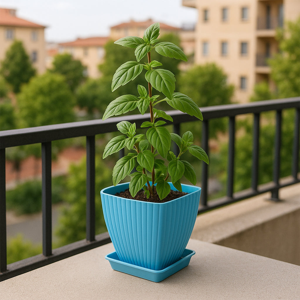 Trendy Square Plastic Flower Pots Set of 5 with Drainage Tray – Indoor & Outdoor Garden Planters, Lightweight Durable Plant Pots for Herbs, Succulents & Flowers
