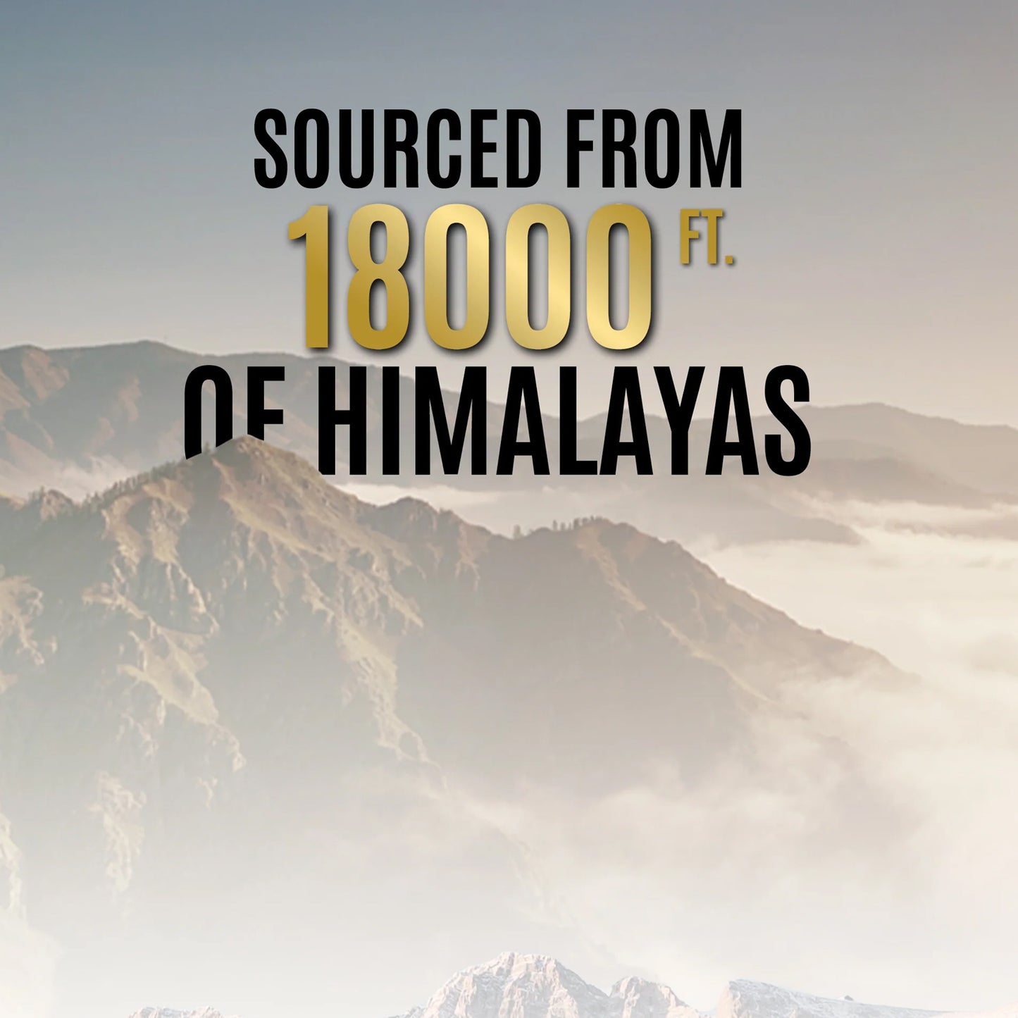 OG Wellness Pure Himalayan Shilajit Resin 20 GM – Natural Energy Booster with 75% Fulvic Acid for Strength, Stamina & Immunity